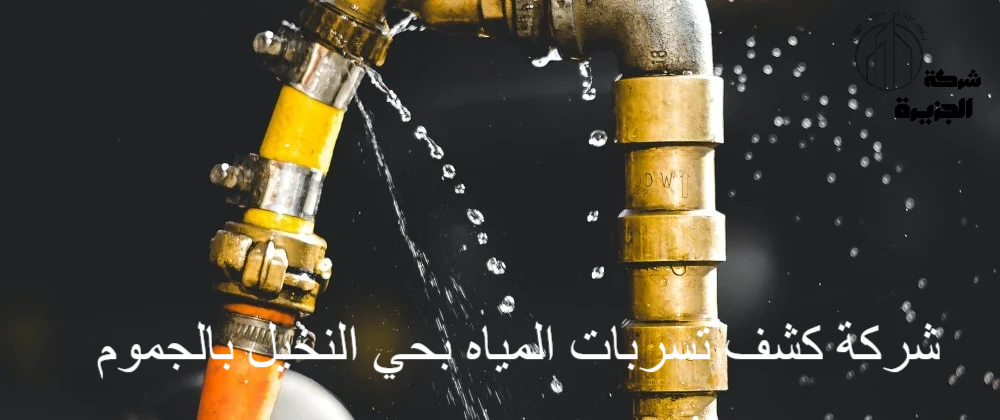 شركة كشف تسربات المياه بحي النخيل بالجموم