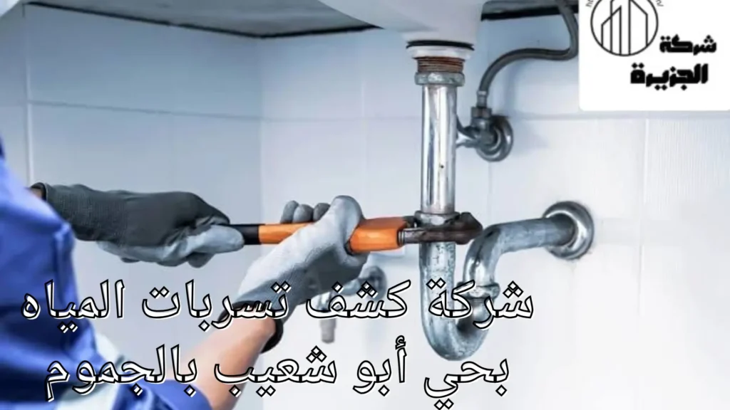شركة كشف تسربات المياه بحي أبو شعيب