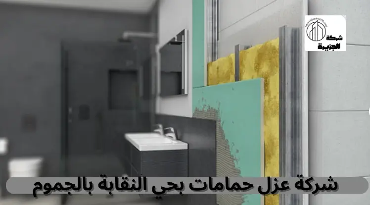 شركة عزل حمامات بحي النقابة