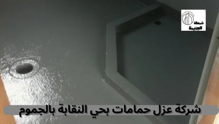 شركة عزل حمامات بحي النقابة