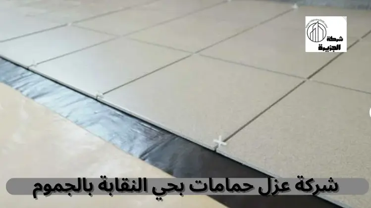 شركة عزل حمامات بحي النقابة بالجموم