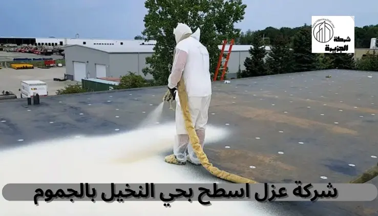 شركة عزل أسطح بحي النخيل